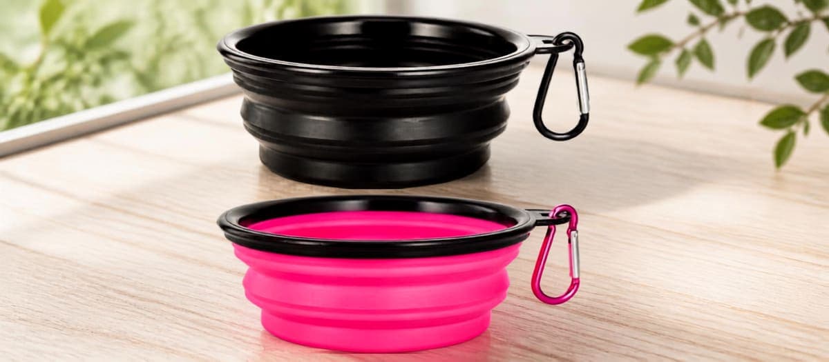 Collapsible Travel Bowls, 2-Pack